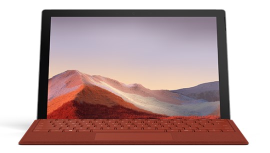 镇坪Surface Go